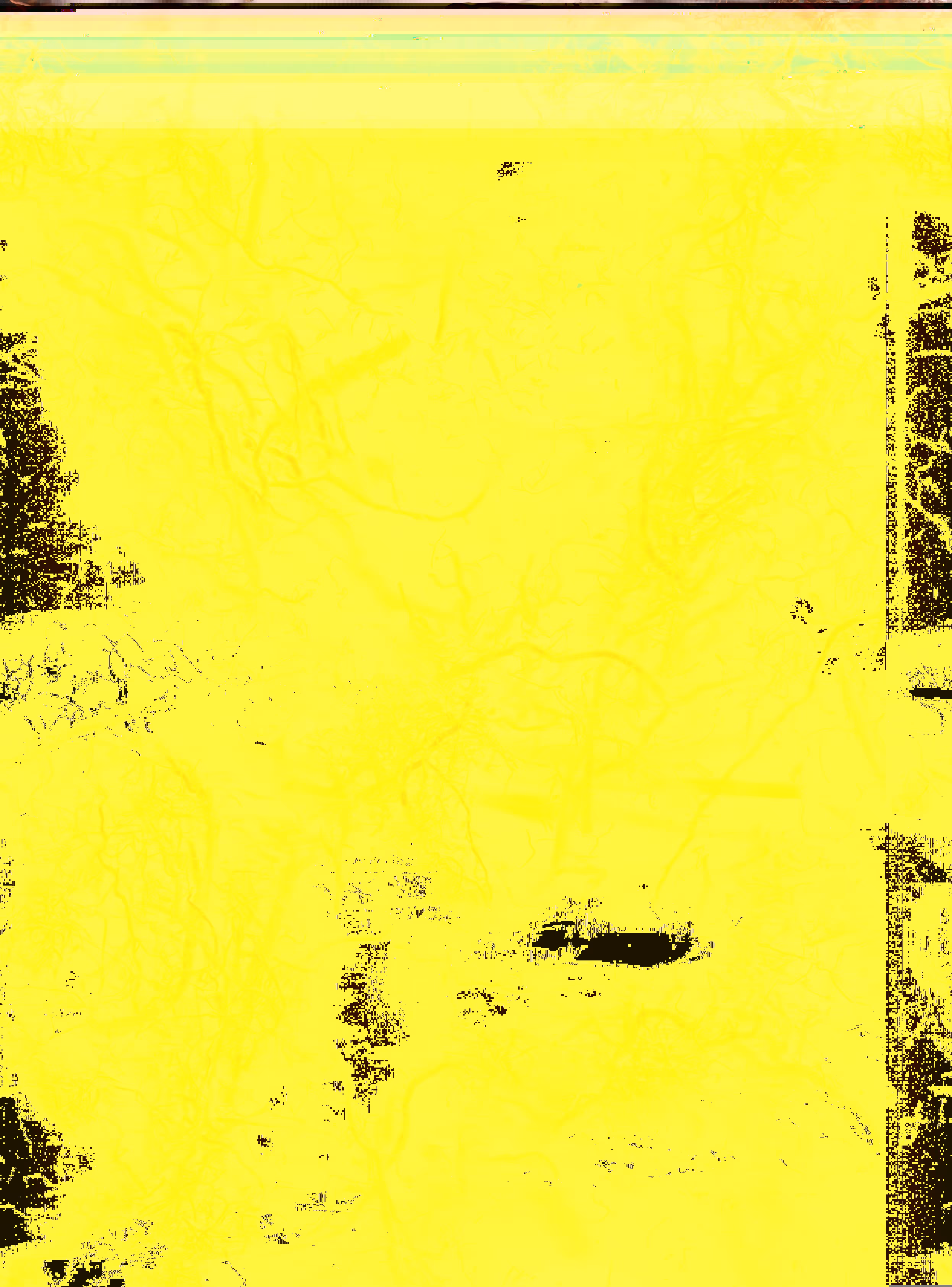Blorgg Honklorph Malfonxia r[1]