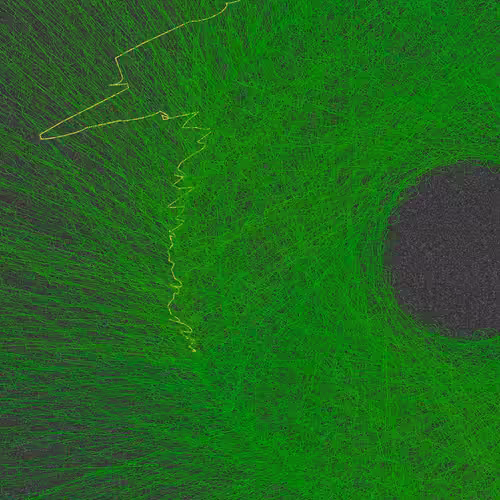 Nests #62