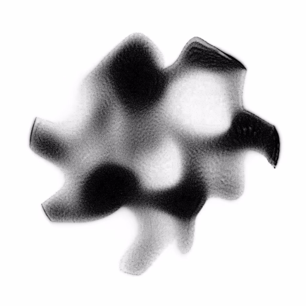 PETRI #38