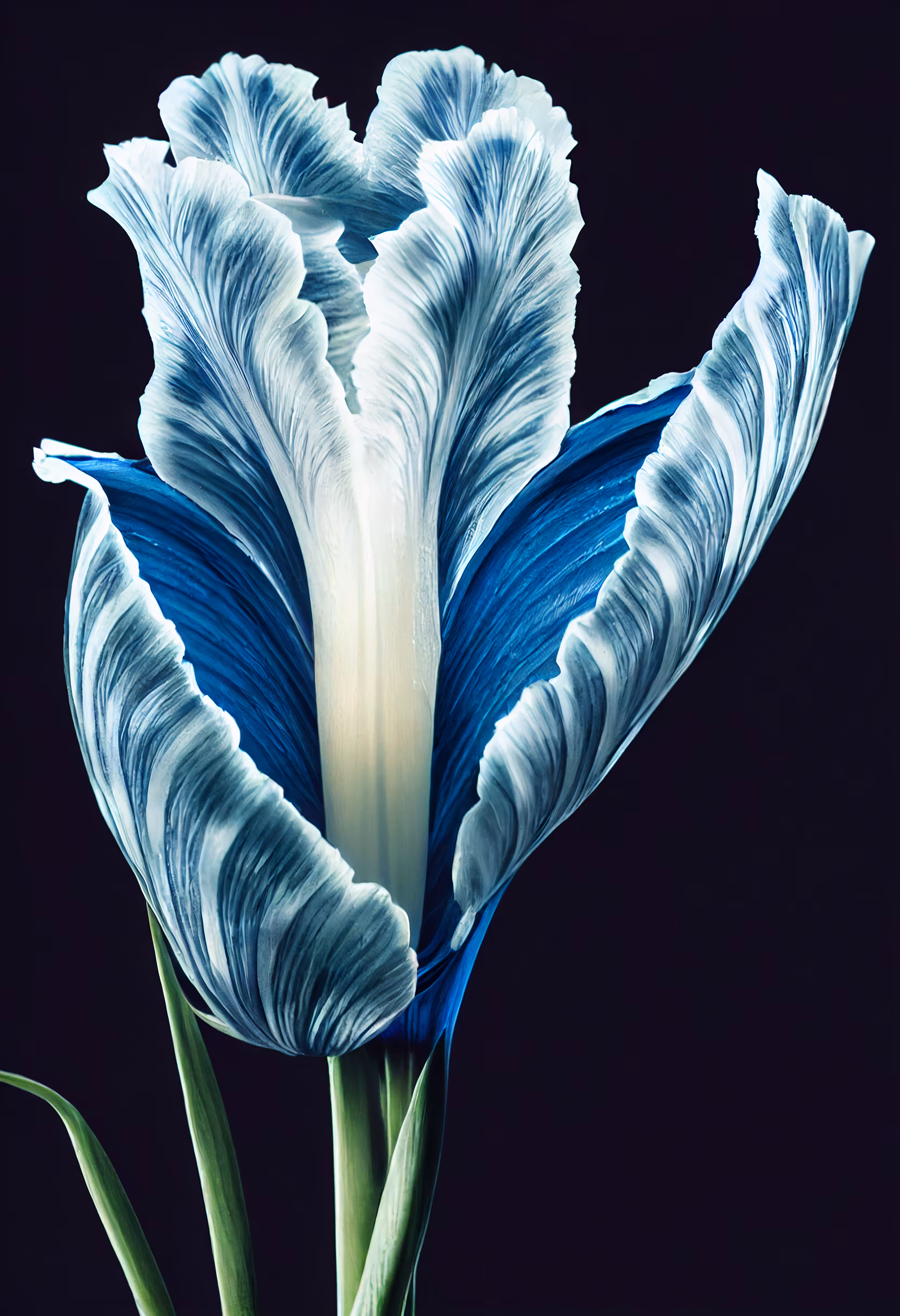 A Flower, Just For You. #66