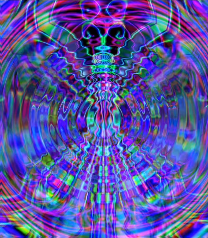 the butterfly