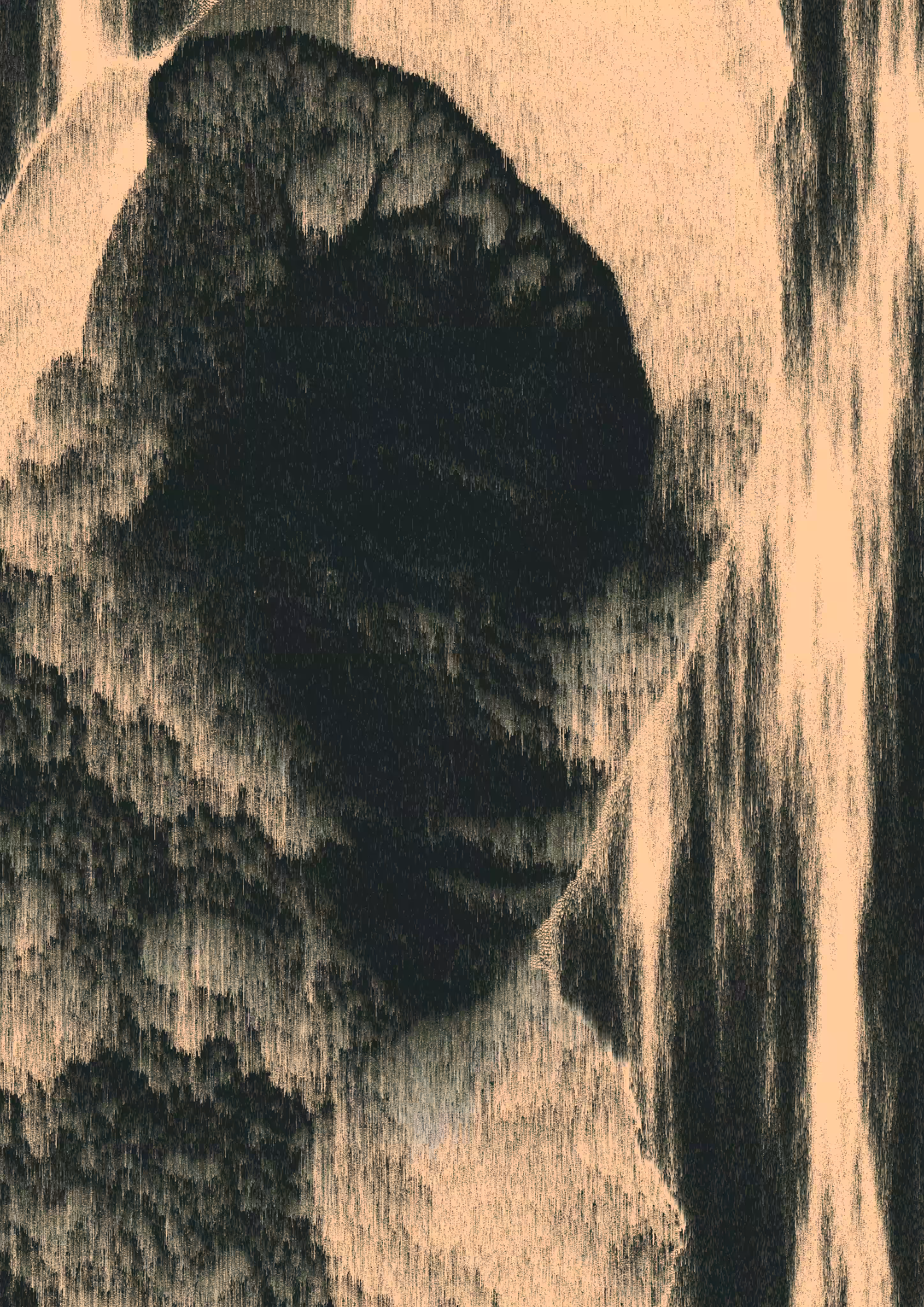 #21