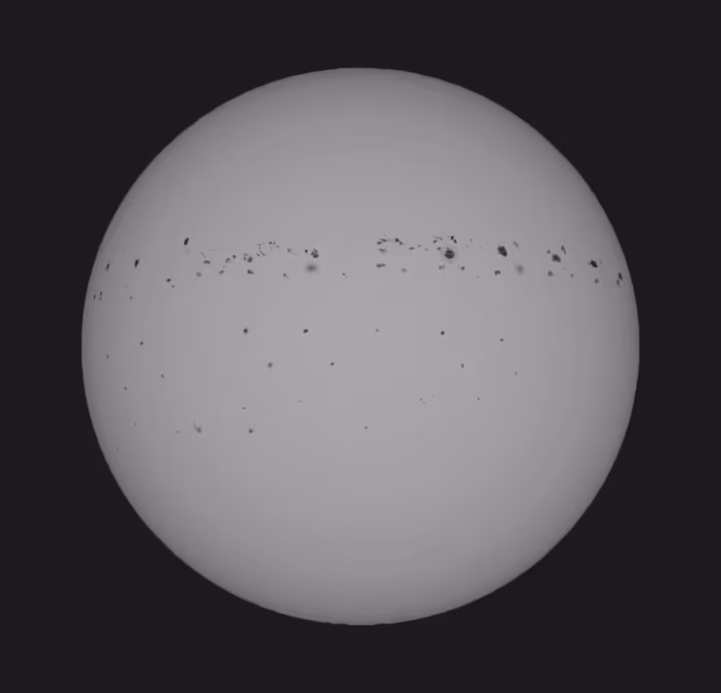 February Spots '26