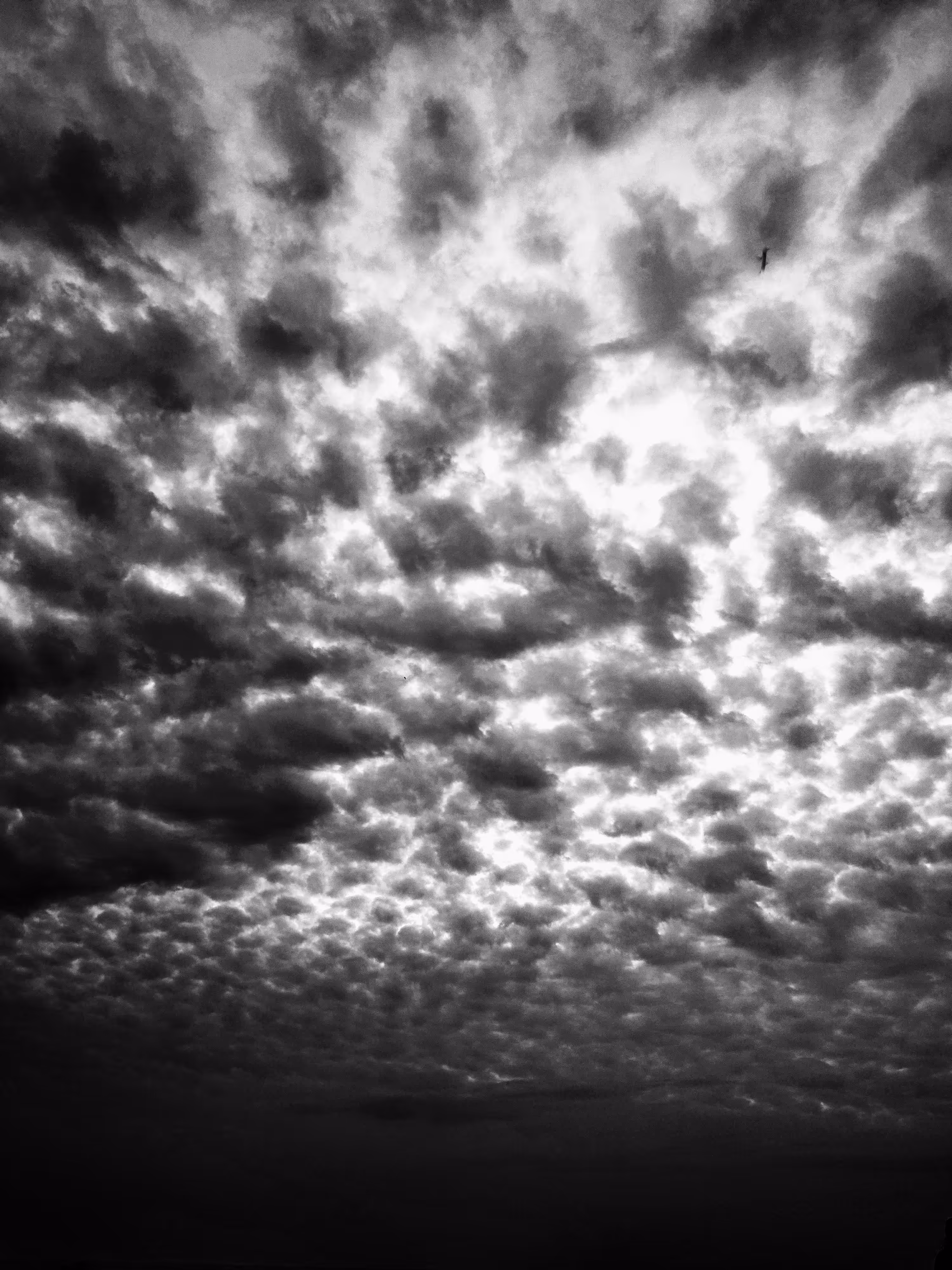 Charcoal Skies