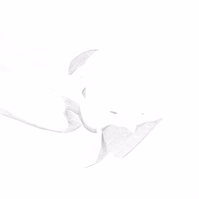 traces #74