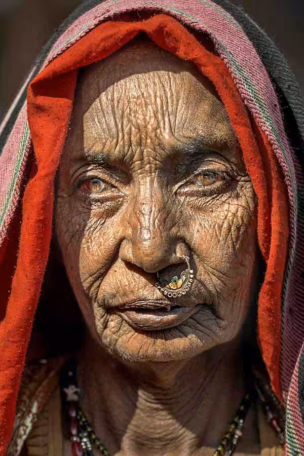 The Old Lady