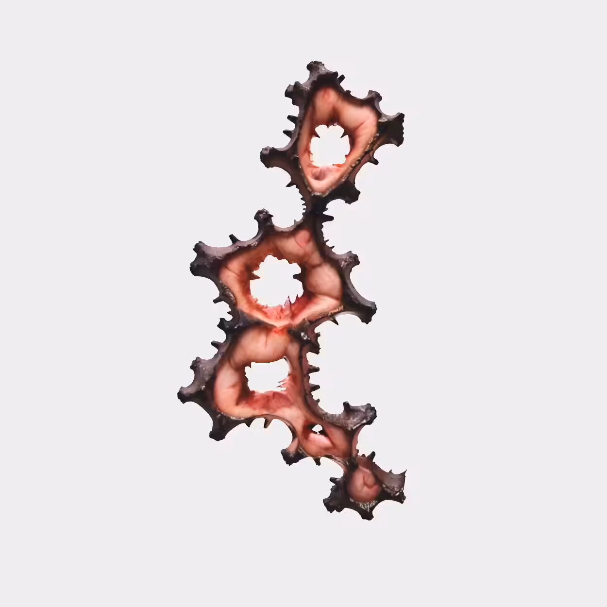 Wound sculptures: WSC_06