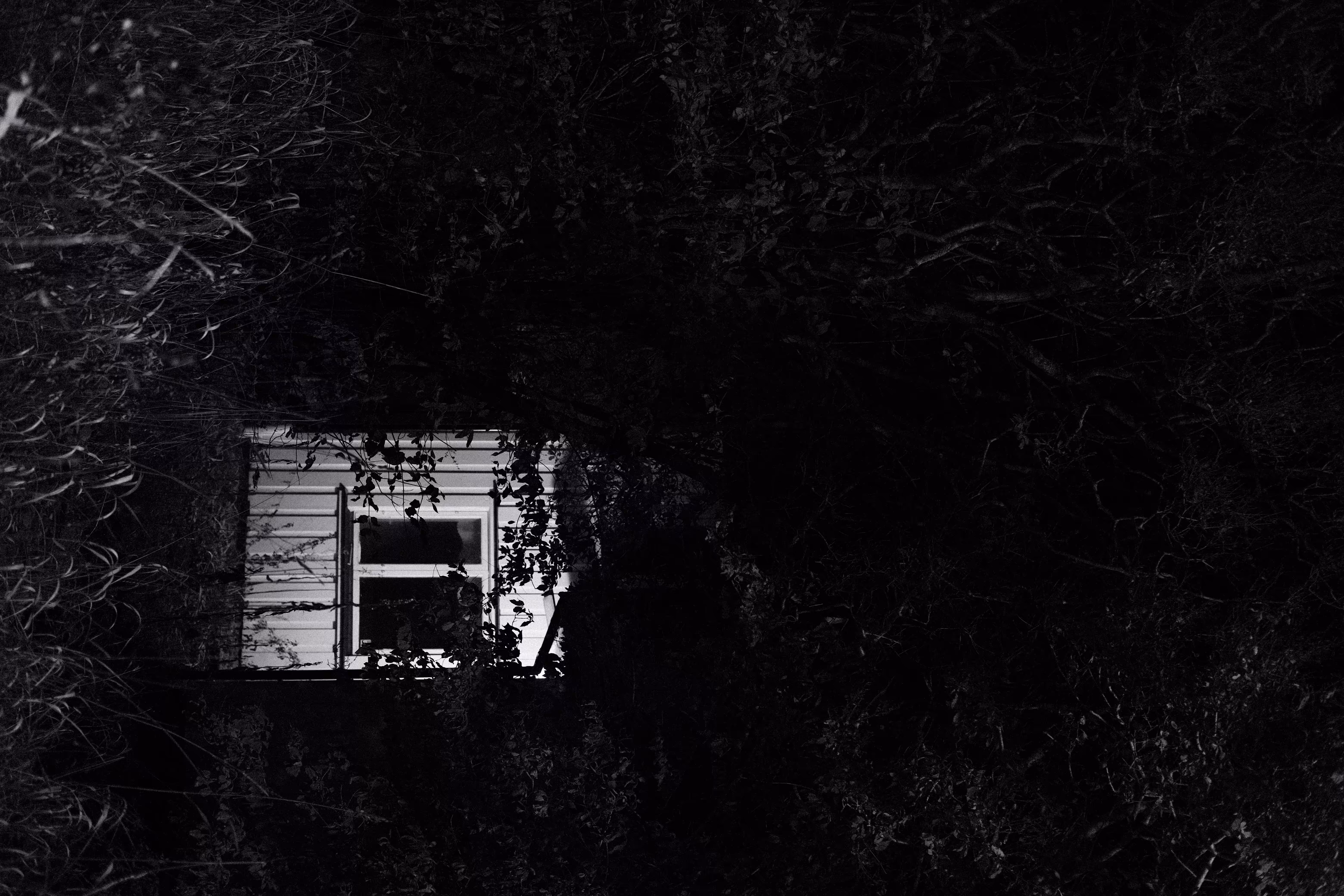 The Window