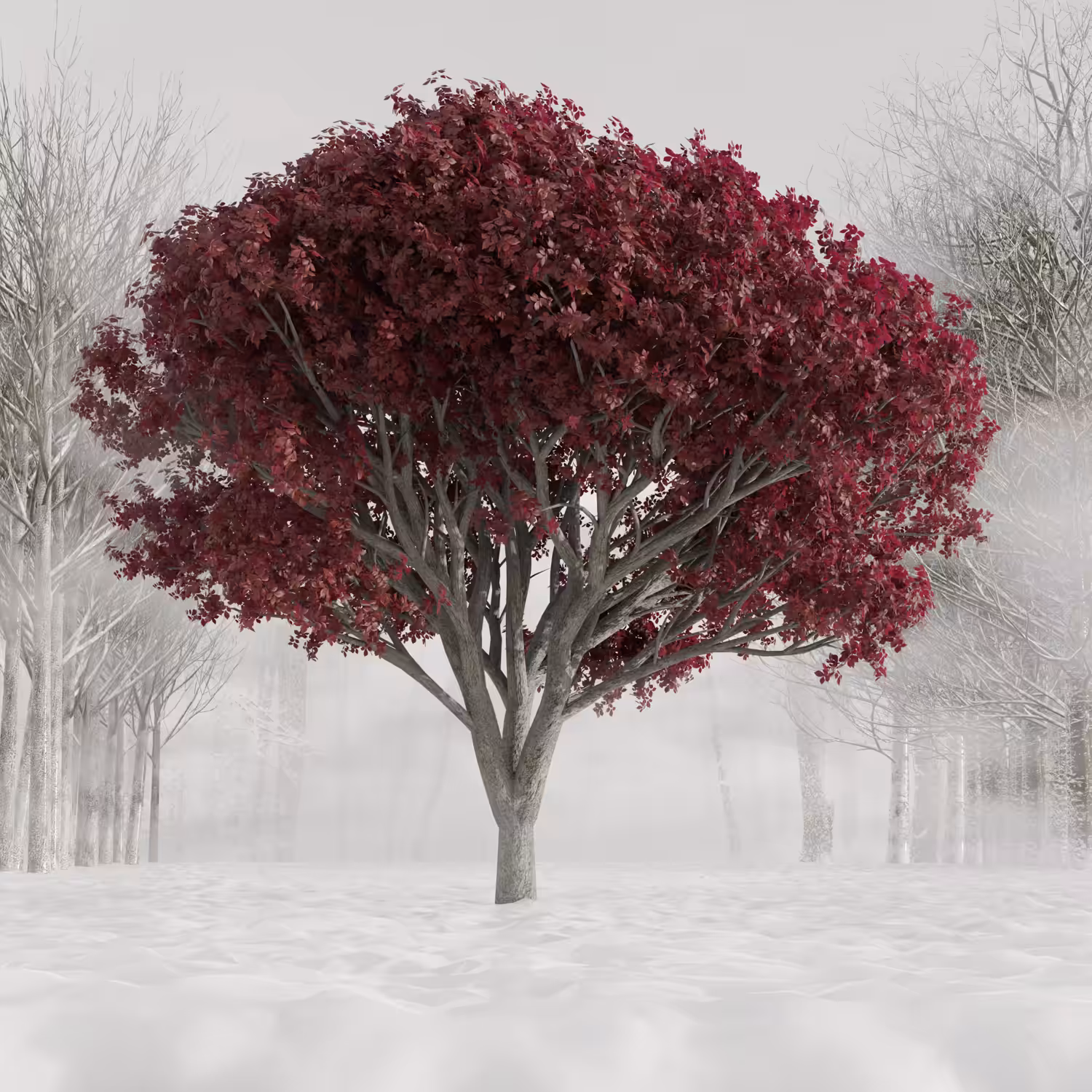 Ruby Winter
