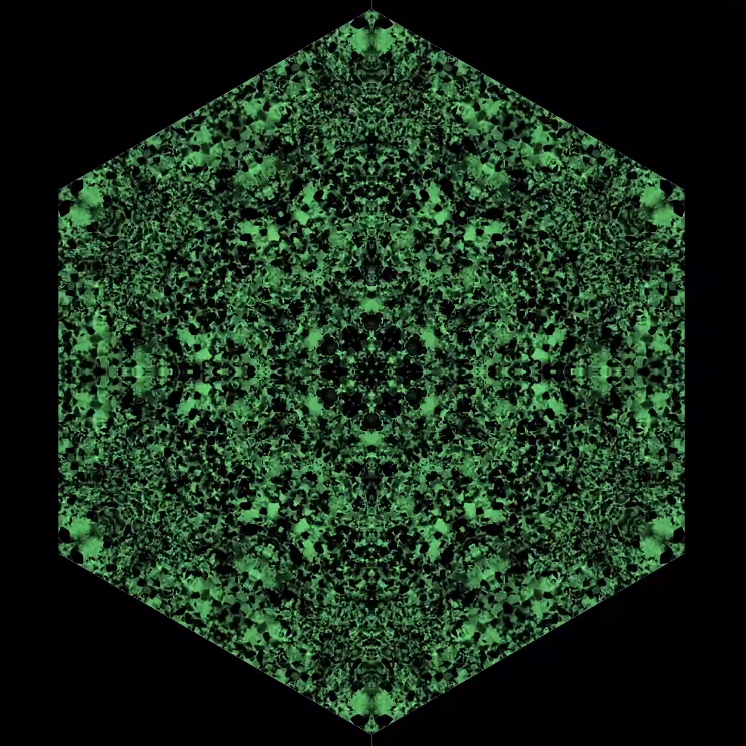 My Oriental Happy Trippy Voyage