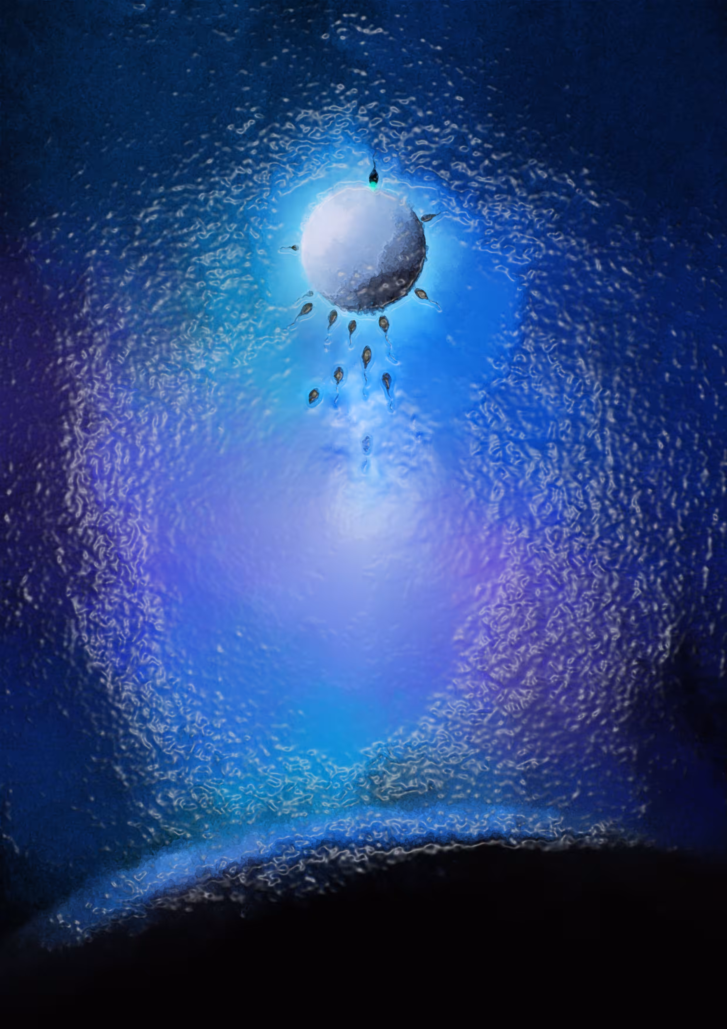 To the moon to be born