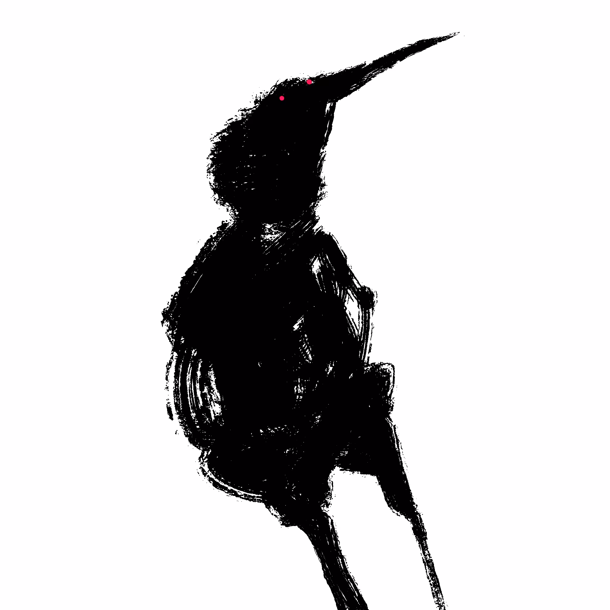 bird person