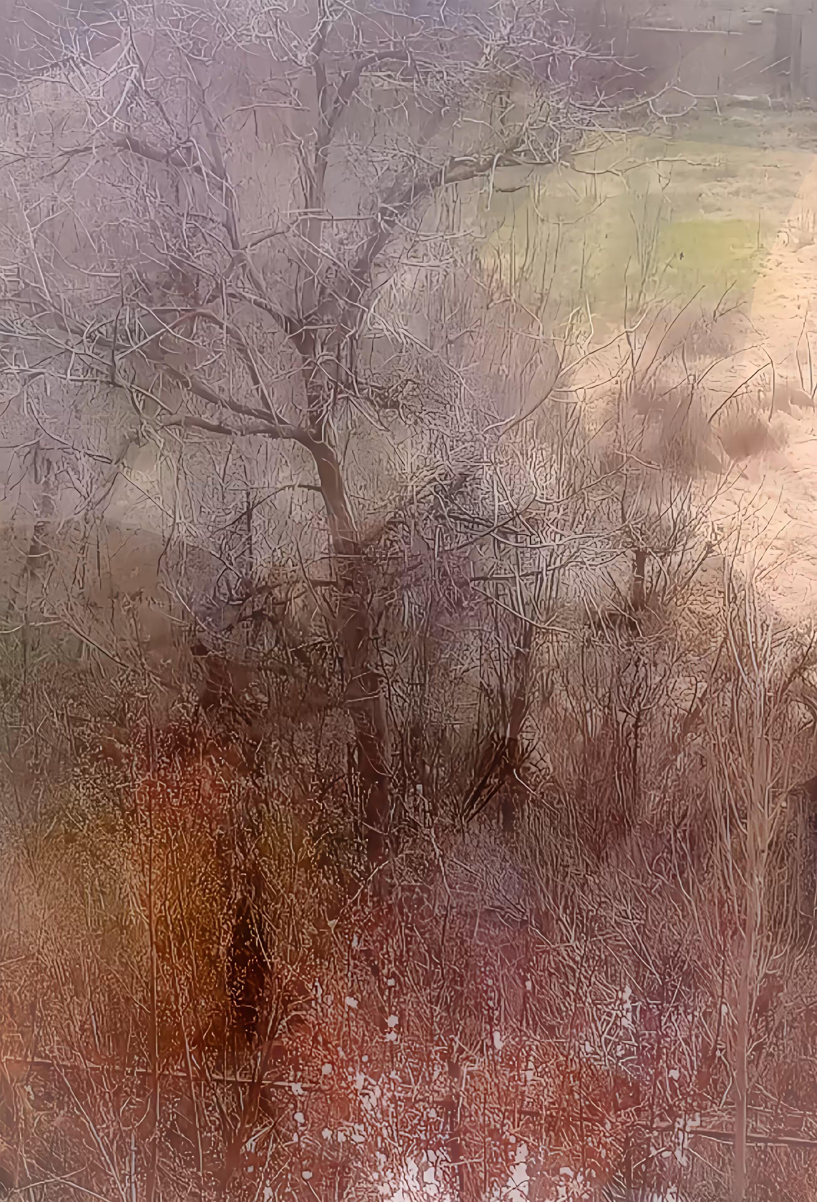 The branches (3)