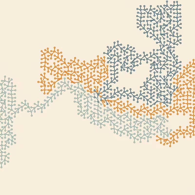 Networks #11