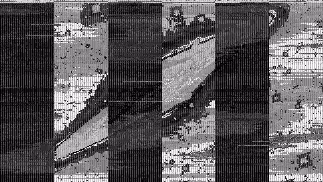 HeavenComputer: ⨉≀⨕∳⍥⦁≶⋾⎎∦⎪⨍⊖▴ #1000638