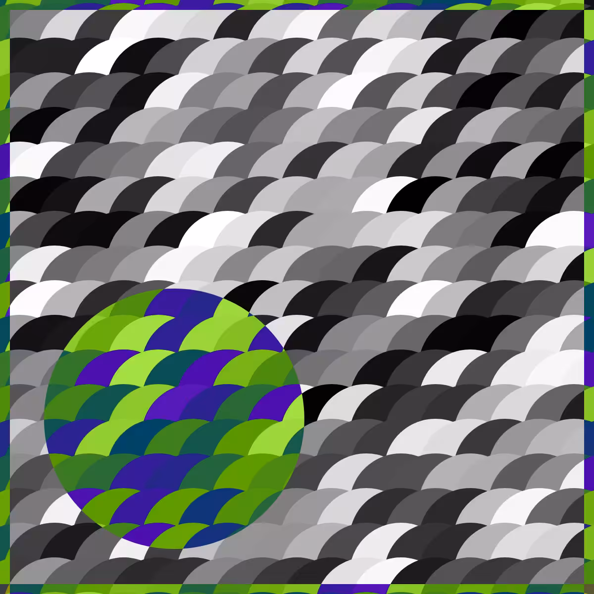 Magnify #10