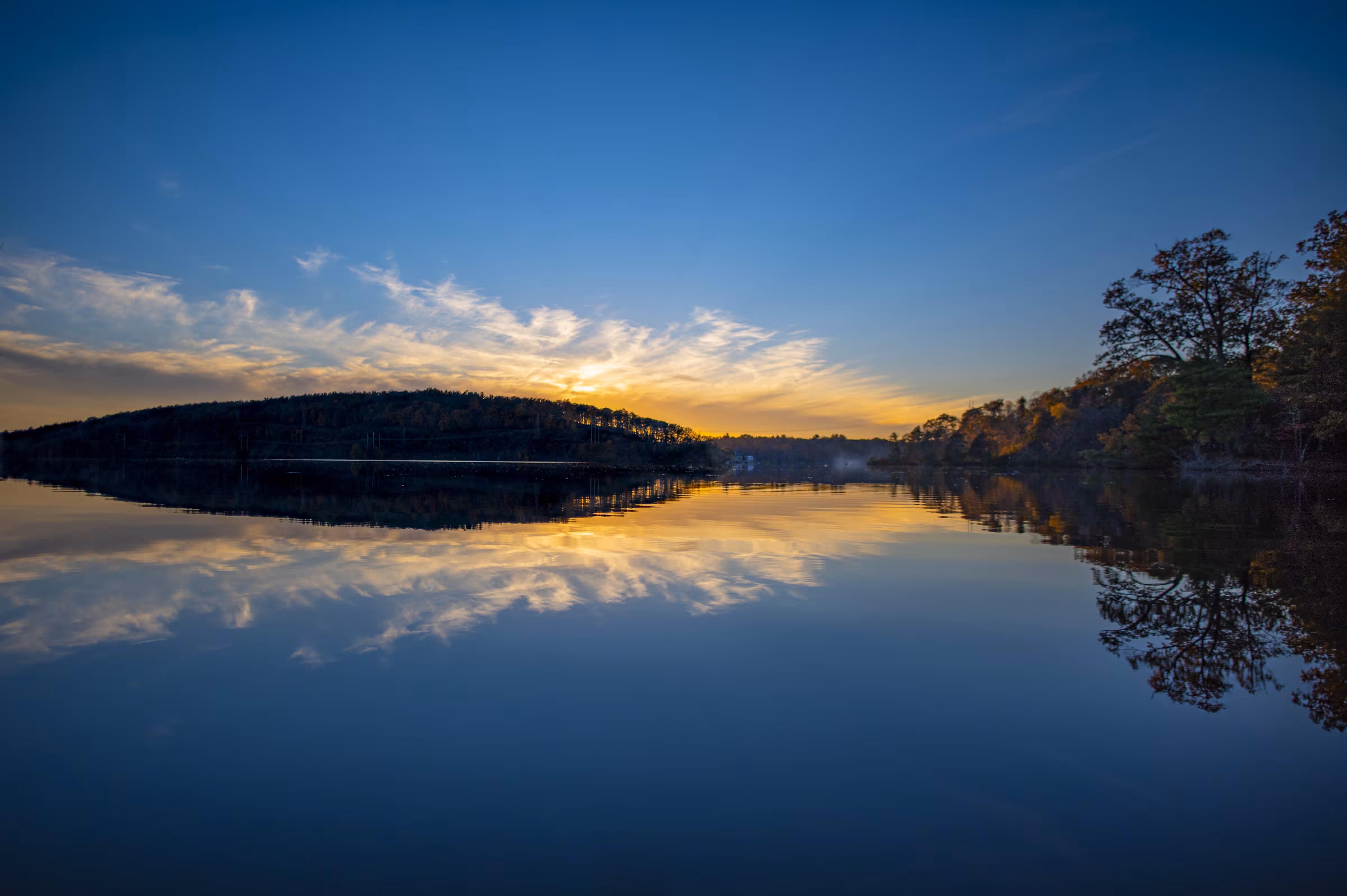 Reflective in Nature