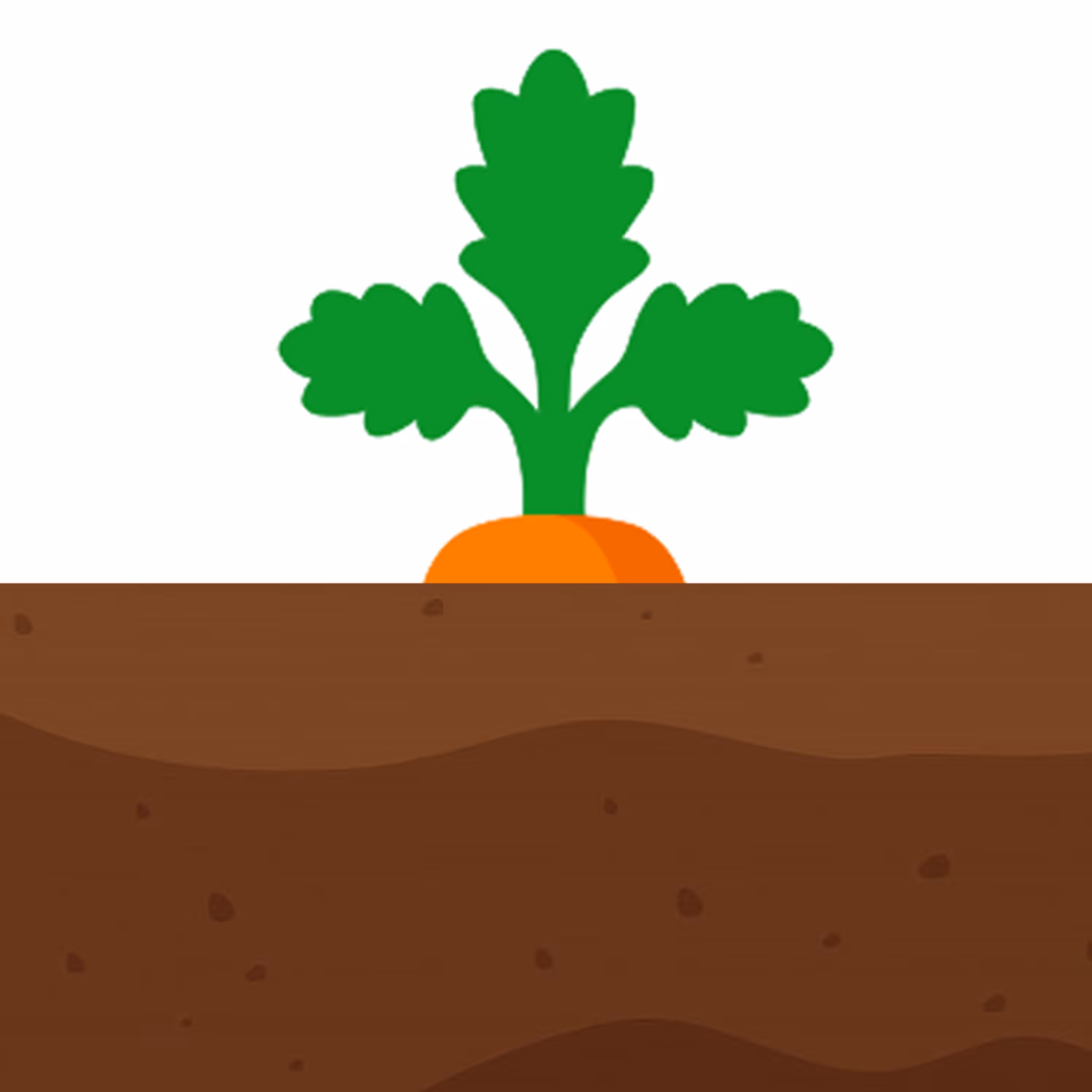 into the ground organge