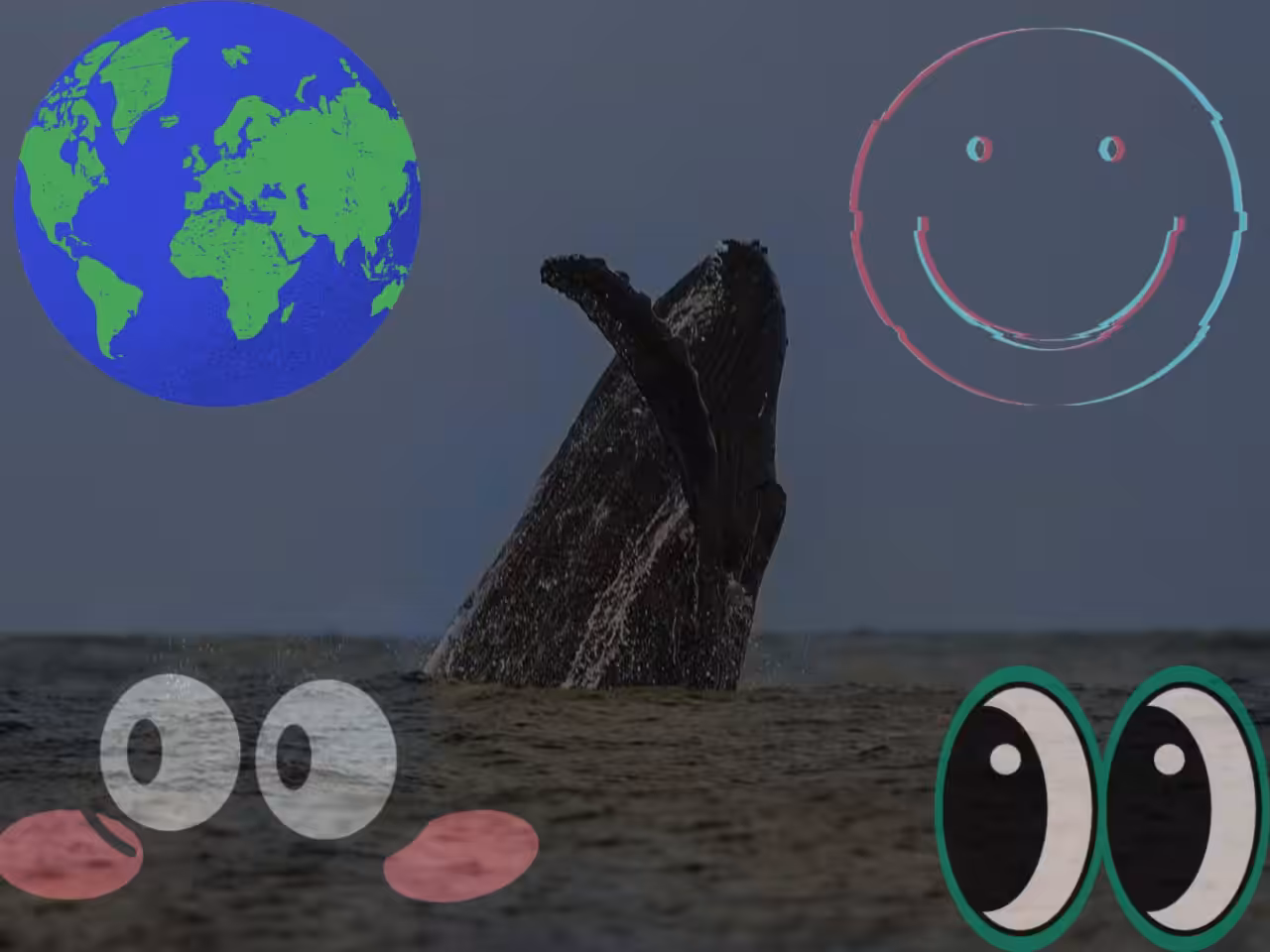 e. y  e   i o l