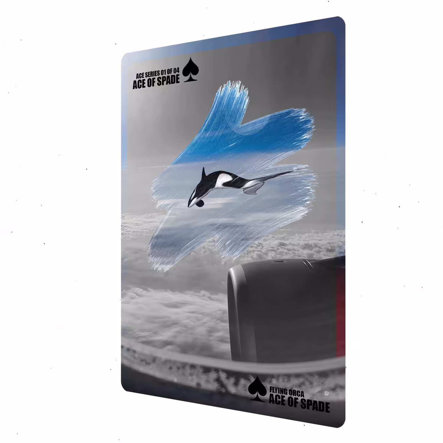 FLYING ORCA 