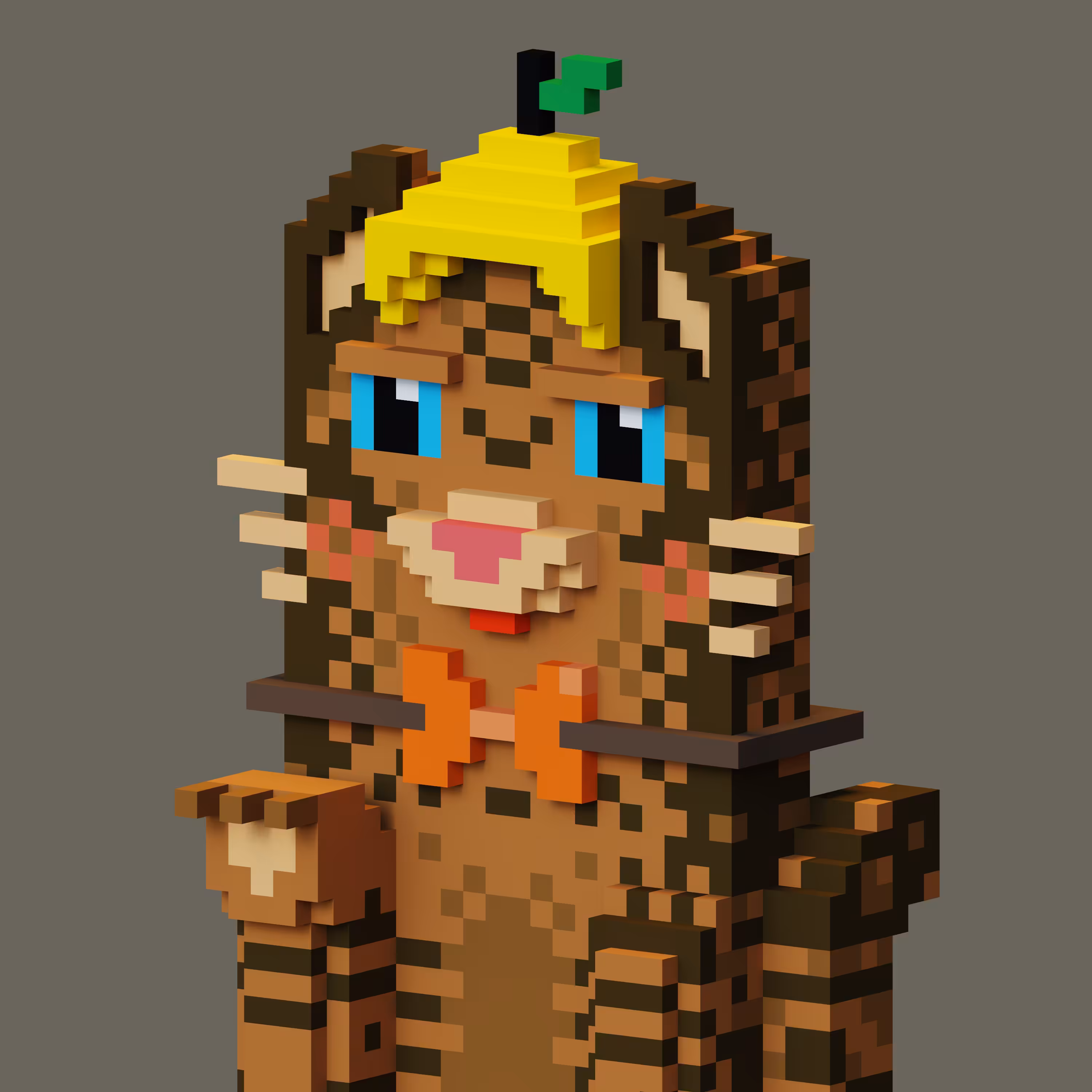 Pets Voxel 14
