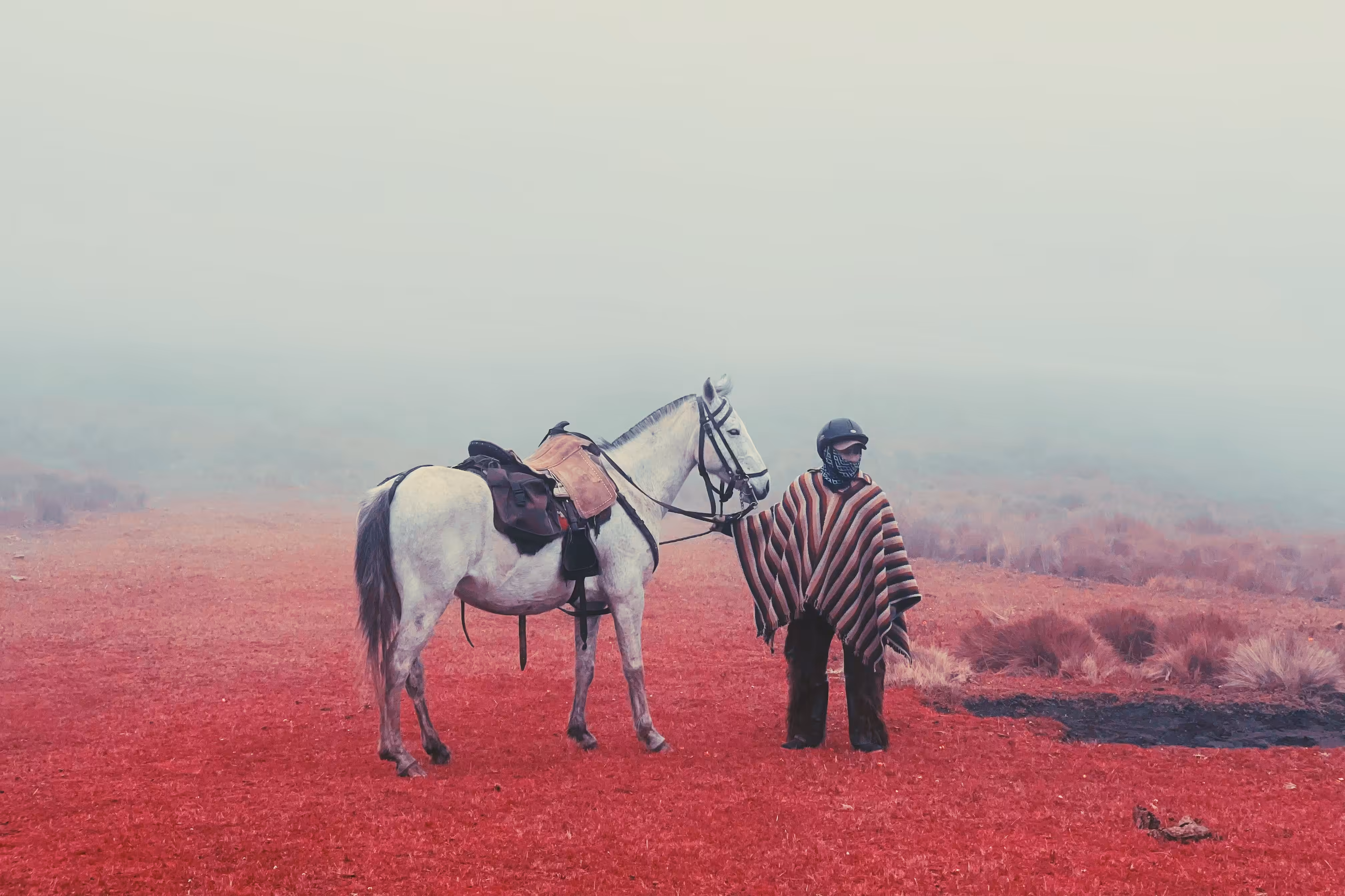 RED #1