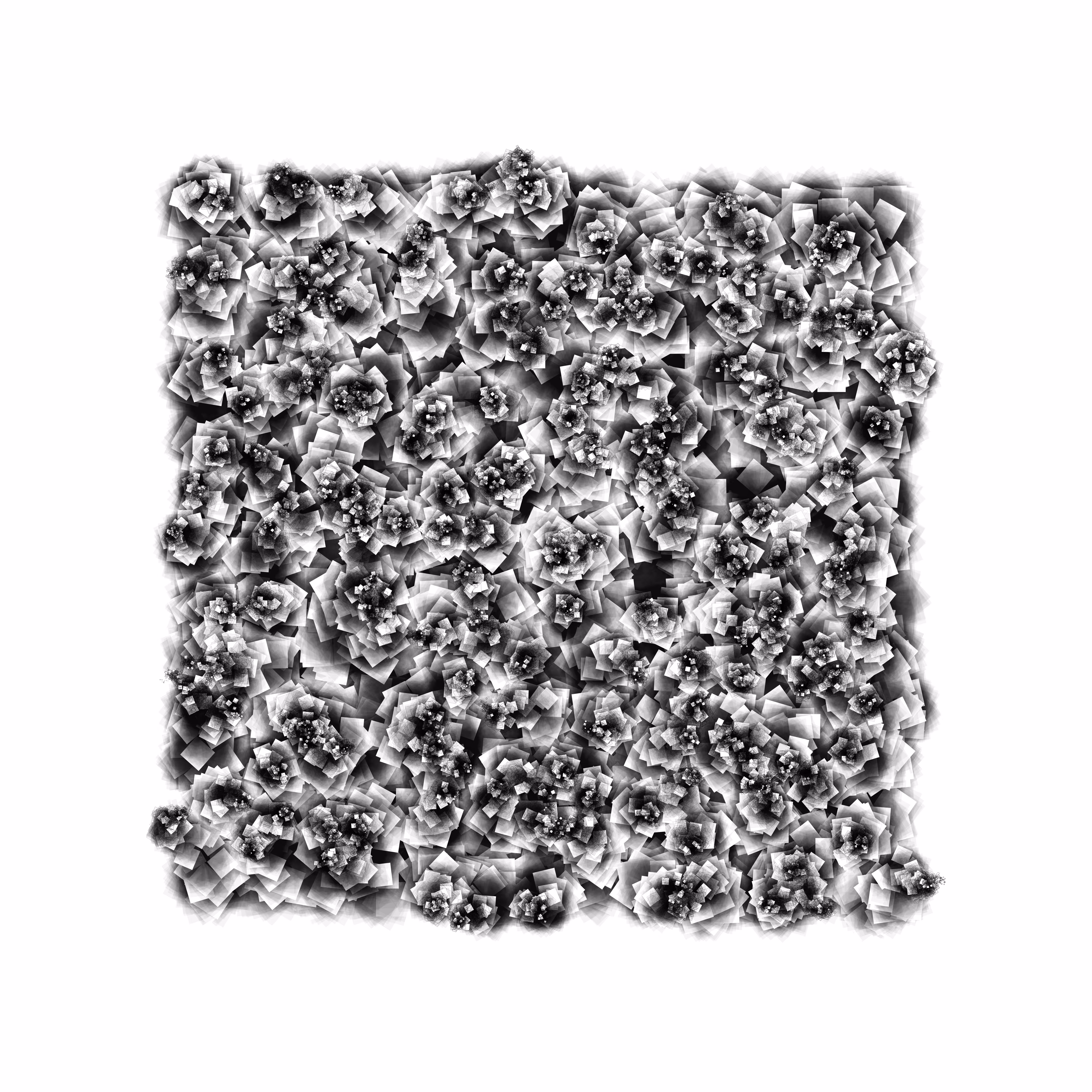 Square Four