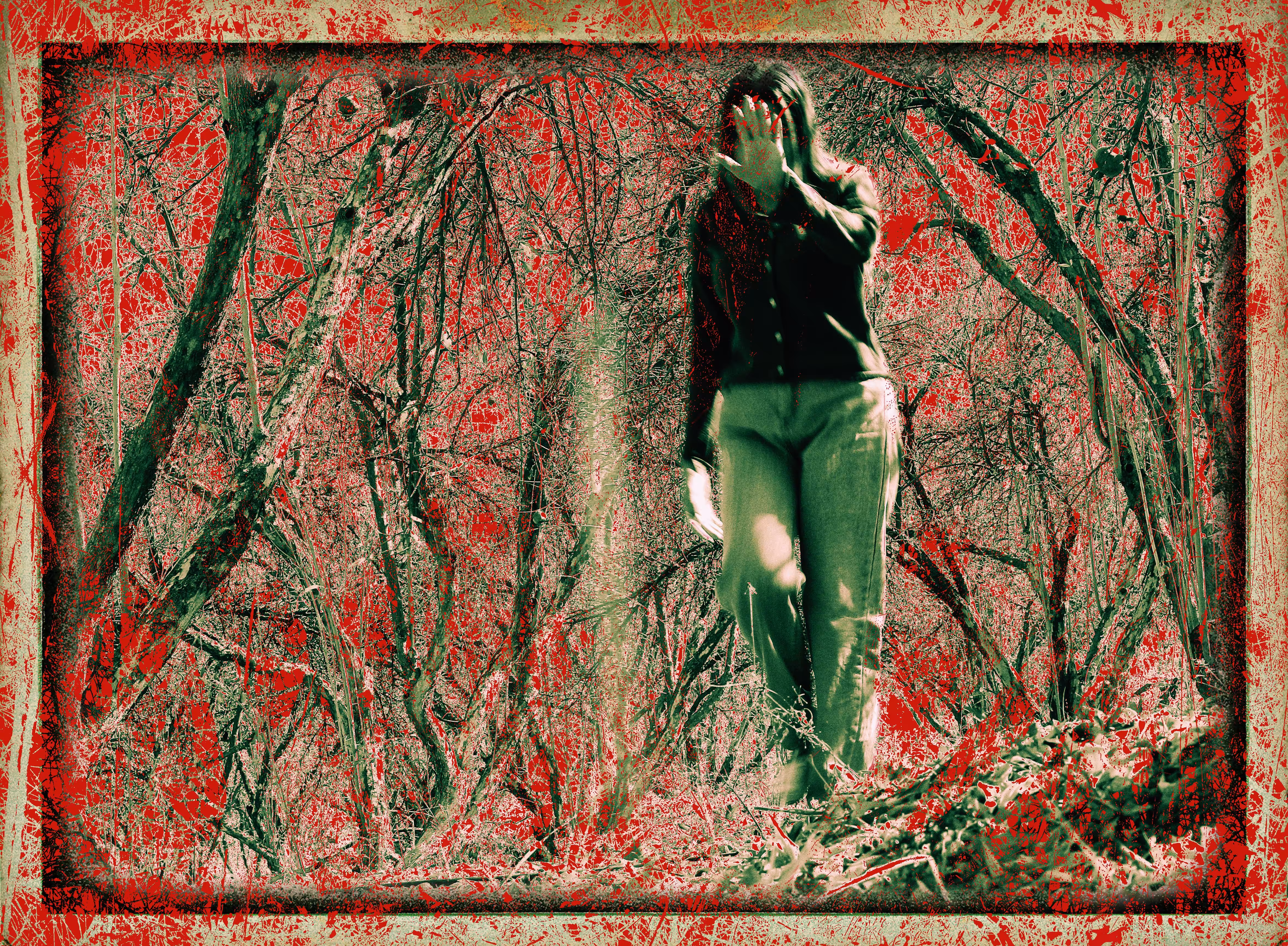 Among the Branches