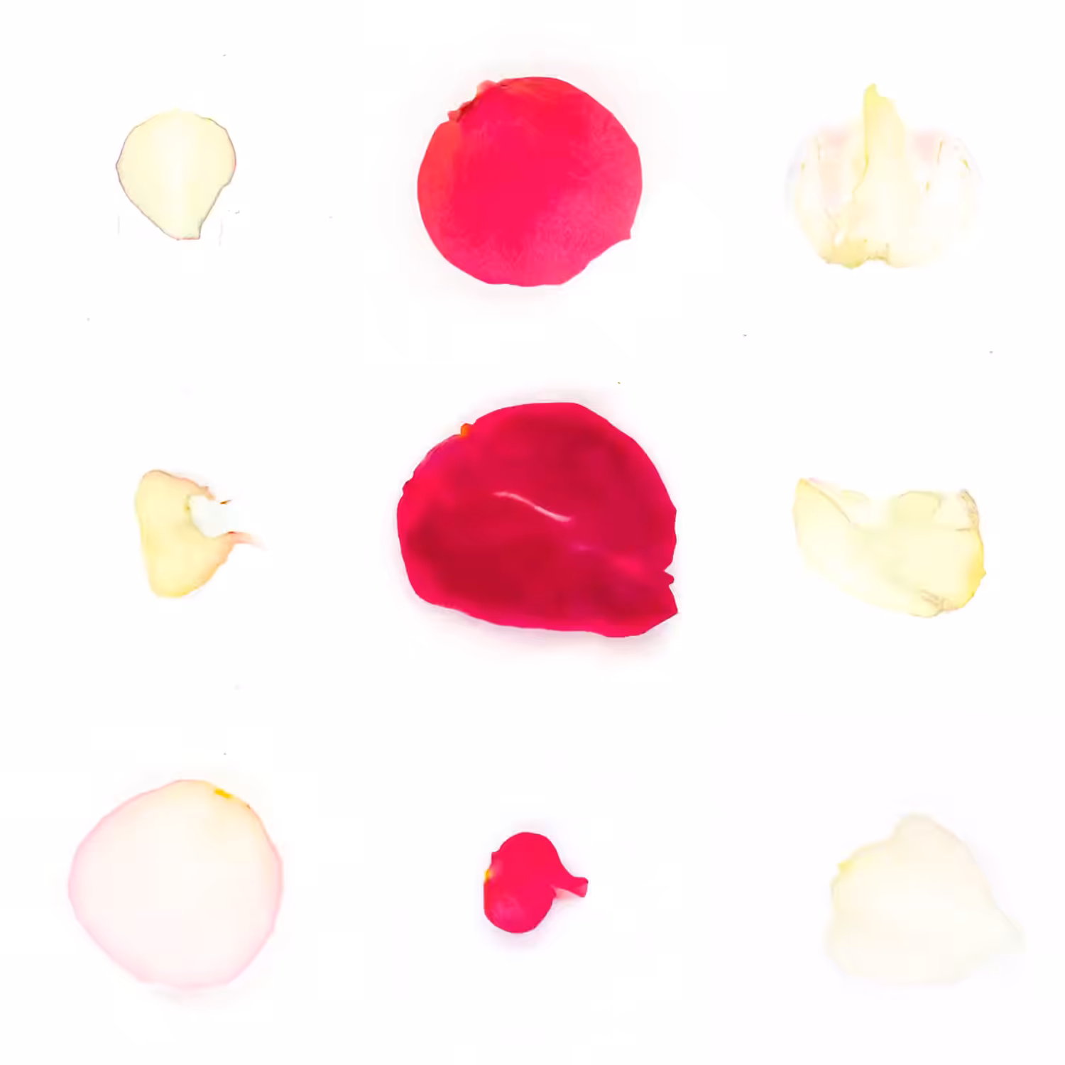 Infinite Petals 3x3#3340