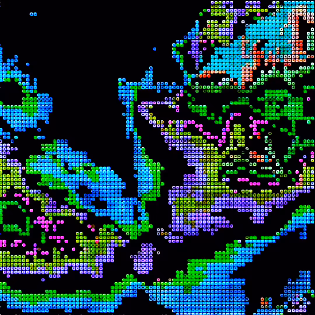 ᴀꜰʀᴏ ɴᴇᴛʀᴜɴɴᴇʀ ɪɪɪ .::.:.:.