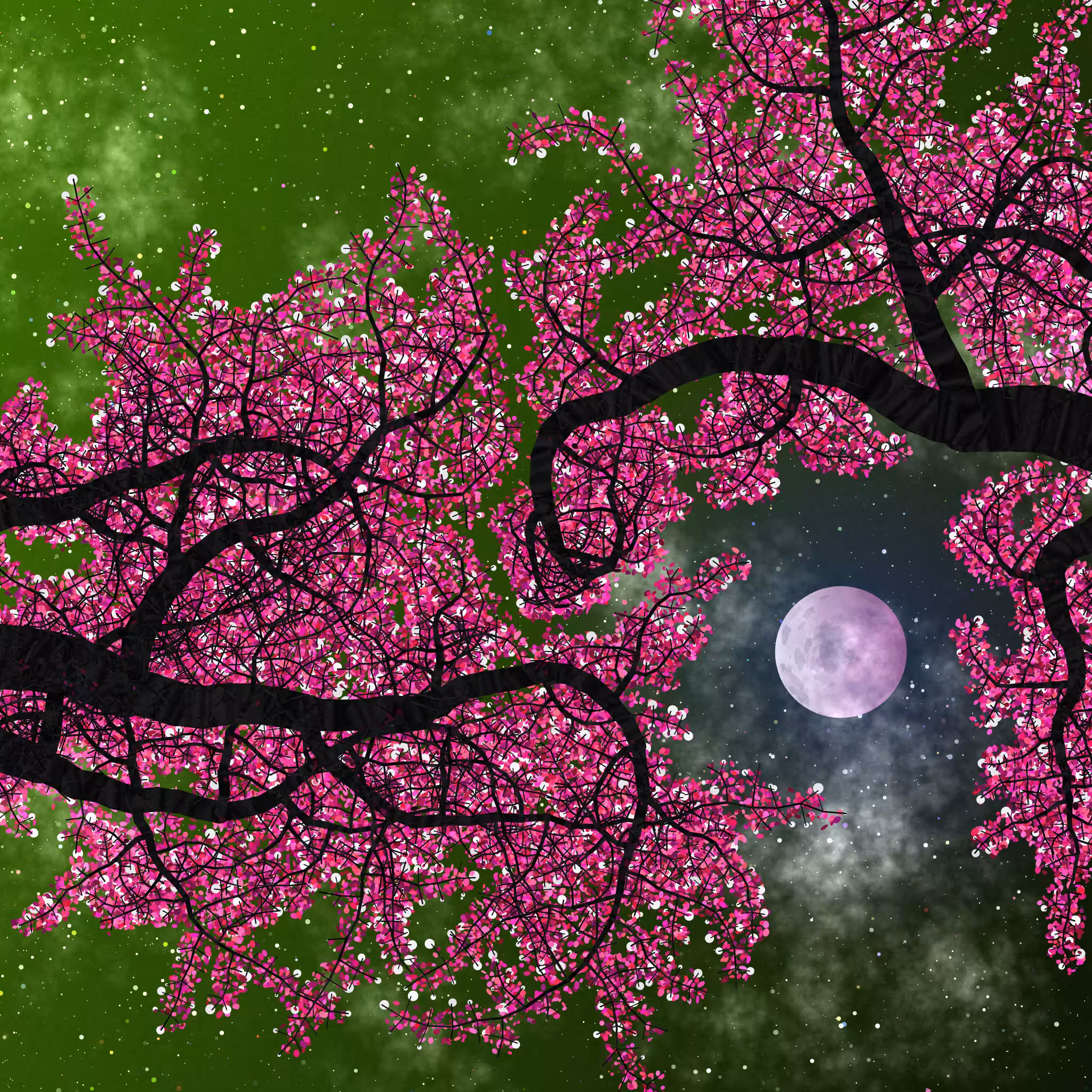 Tree Skyness #156