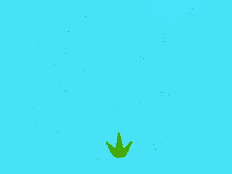 Weed