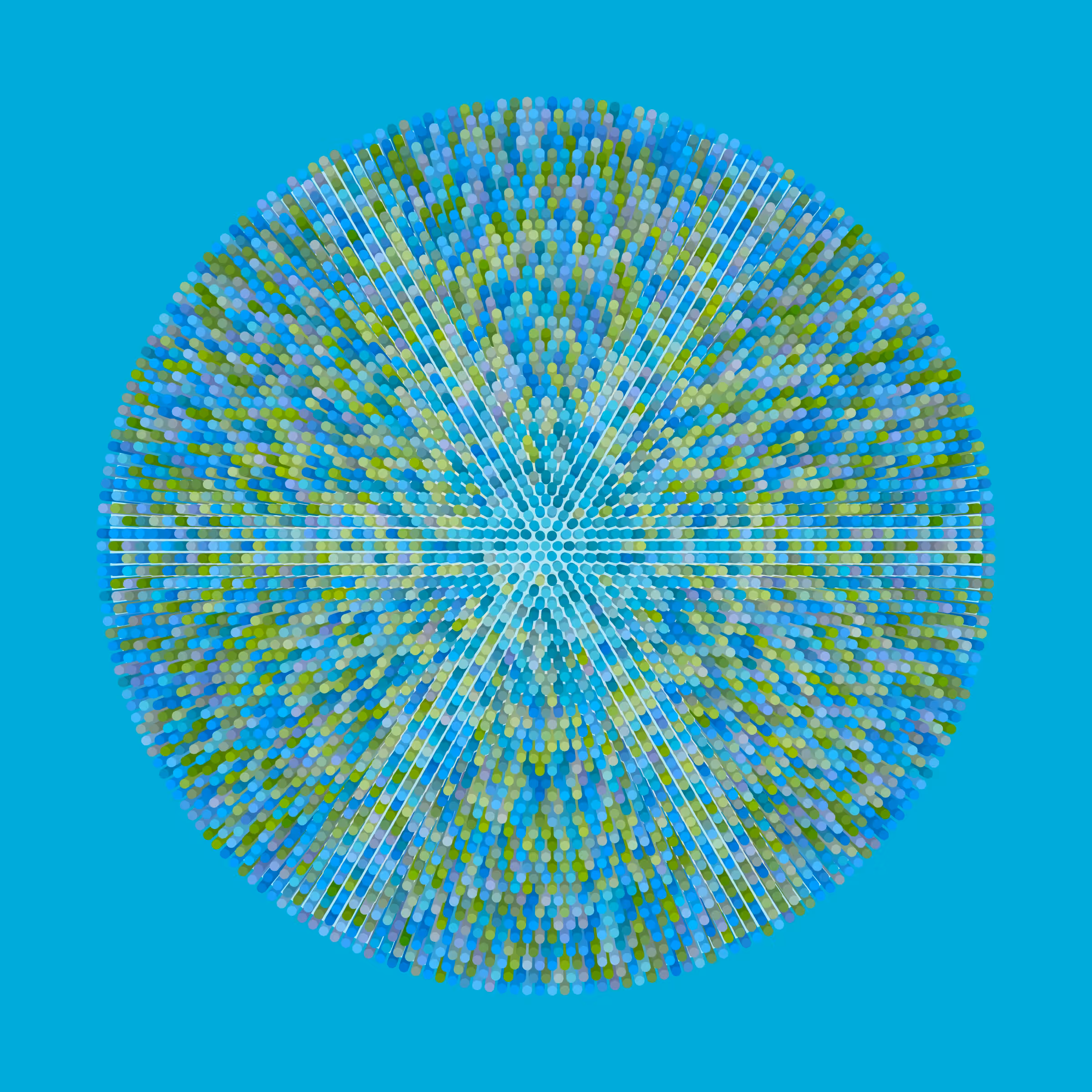 Transitions #3577