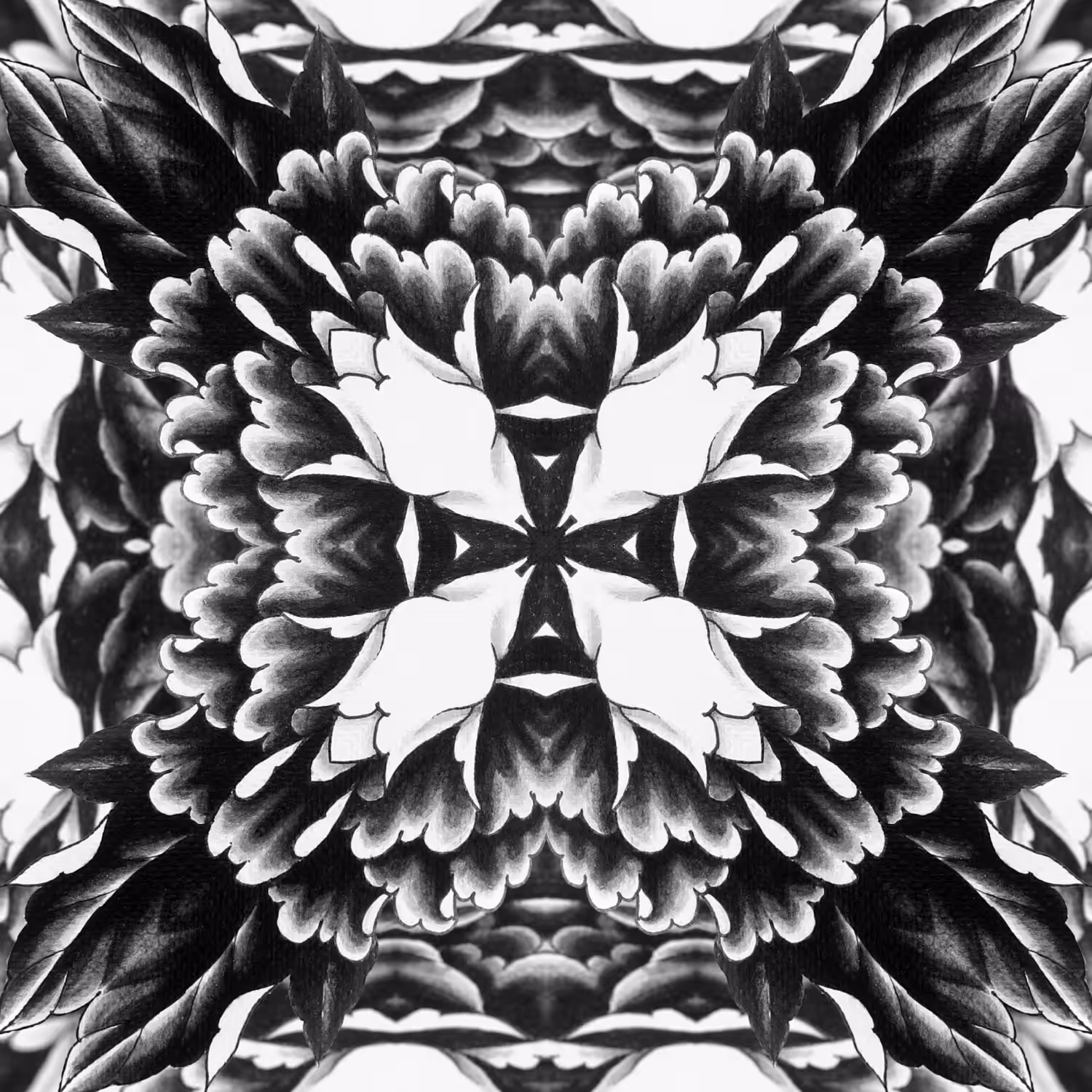 Peony 1 (4 of 4)