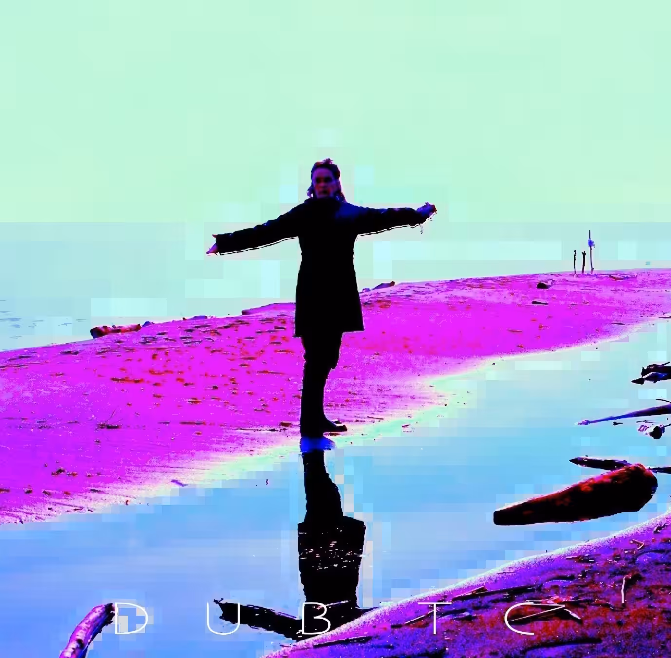 Lynn. pixel valoo poet