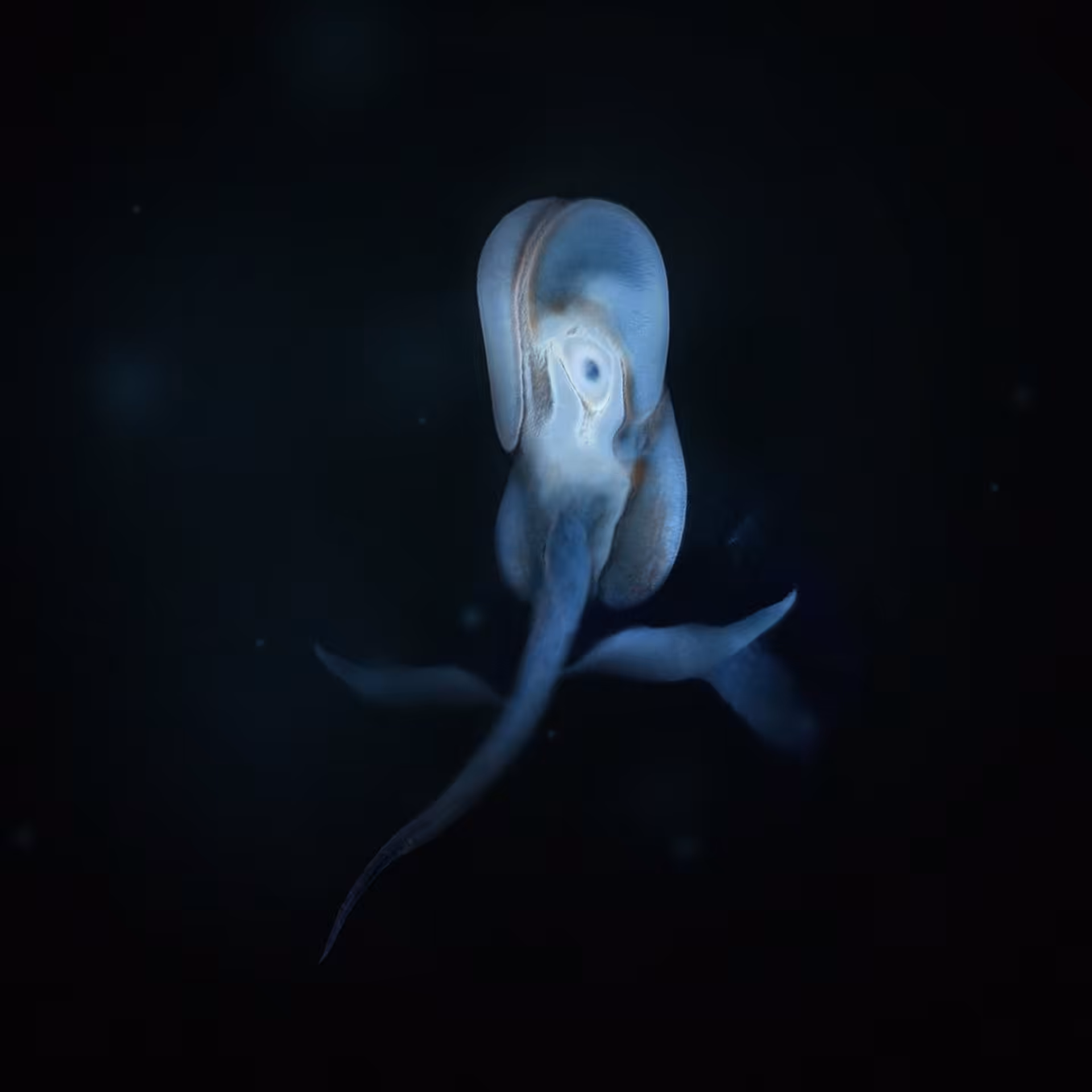 Sperma 41