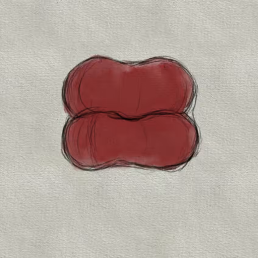 sketchy lips