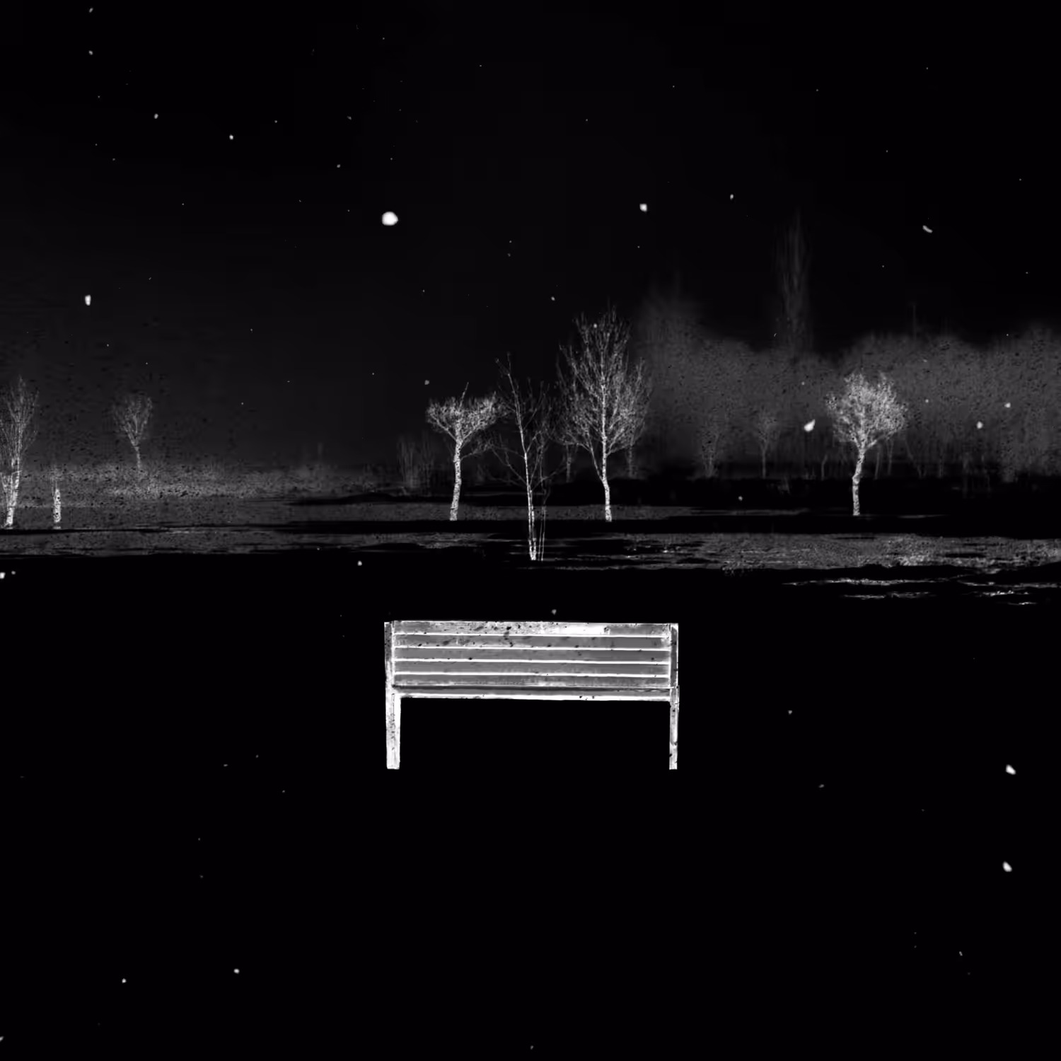 NEGATIVE #14