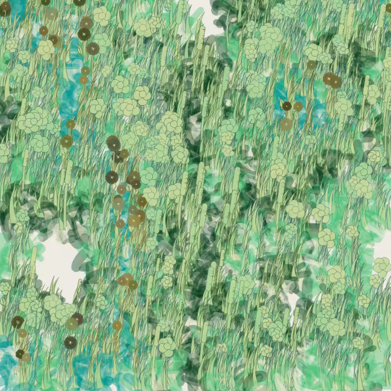 Petri 1500 #486