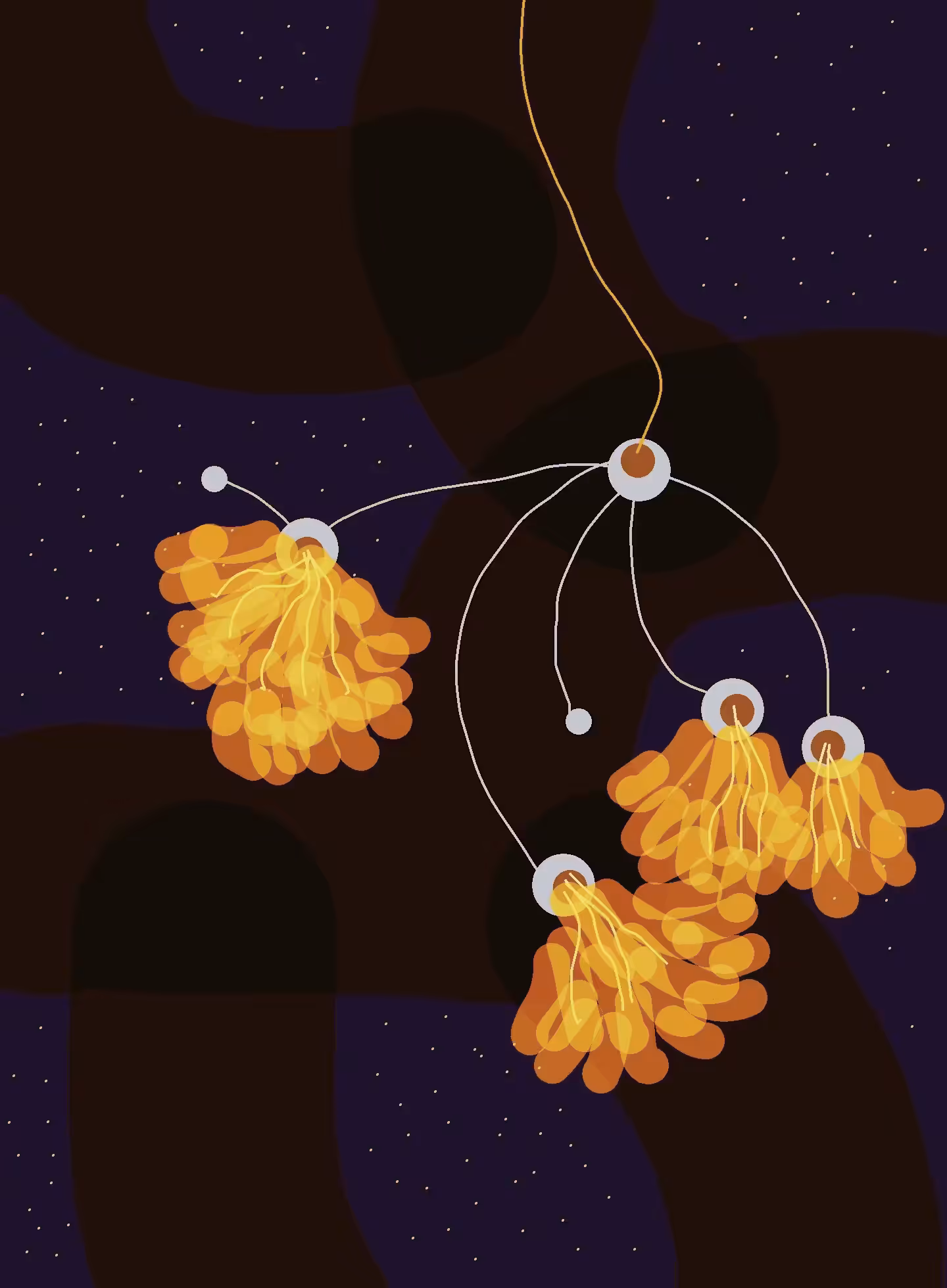 Night flowers