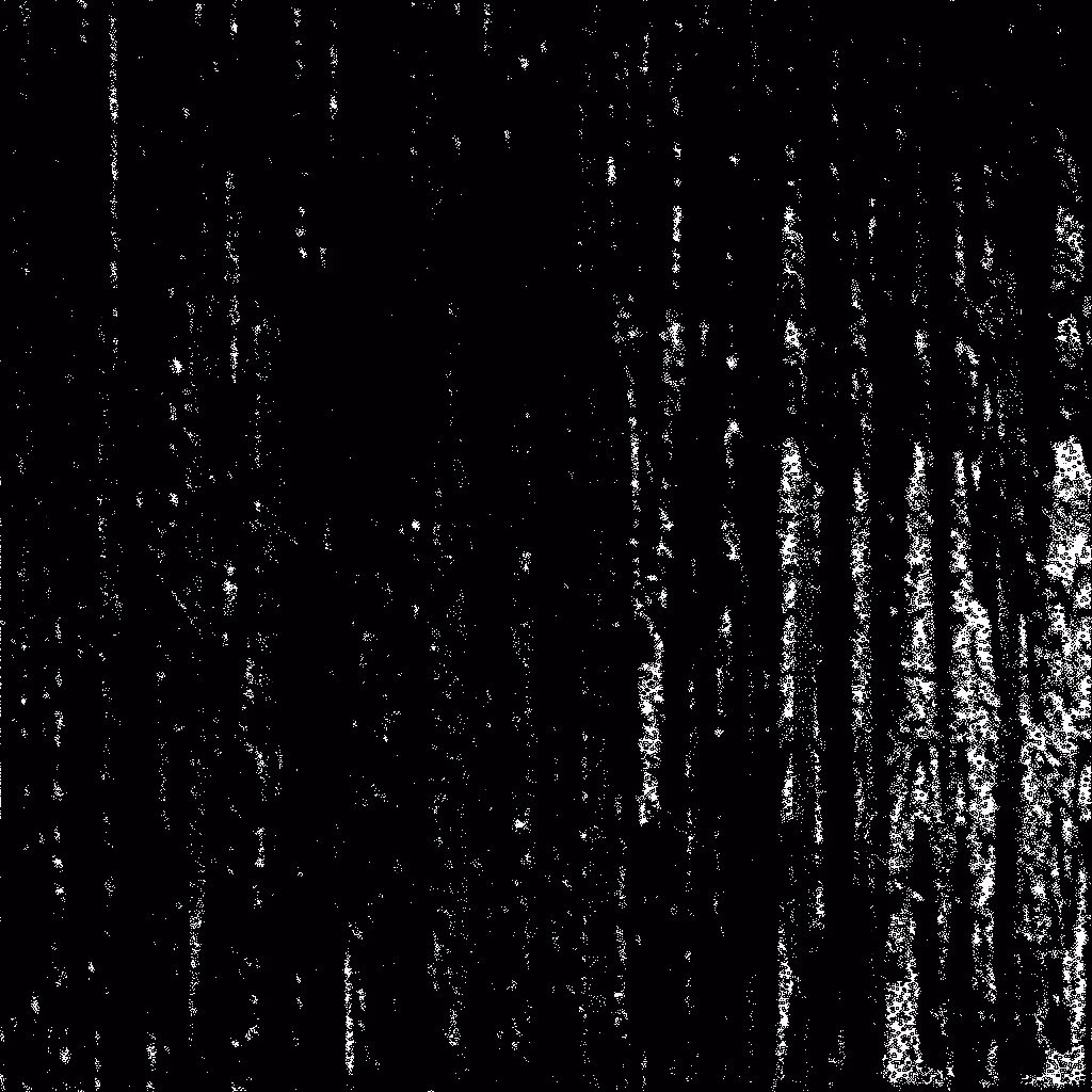 HIDDEN IN NOISE: Noise #321 