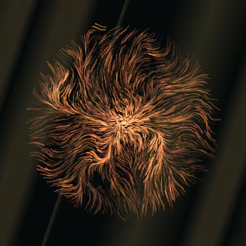 Spirogenesis #1