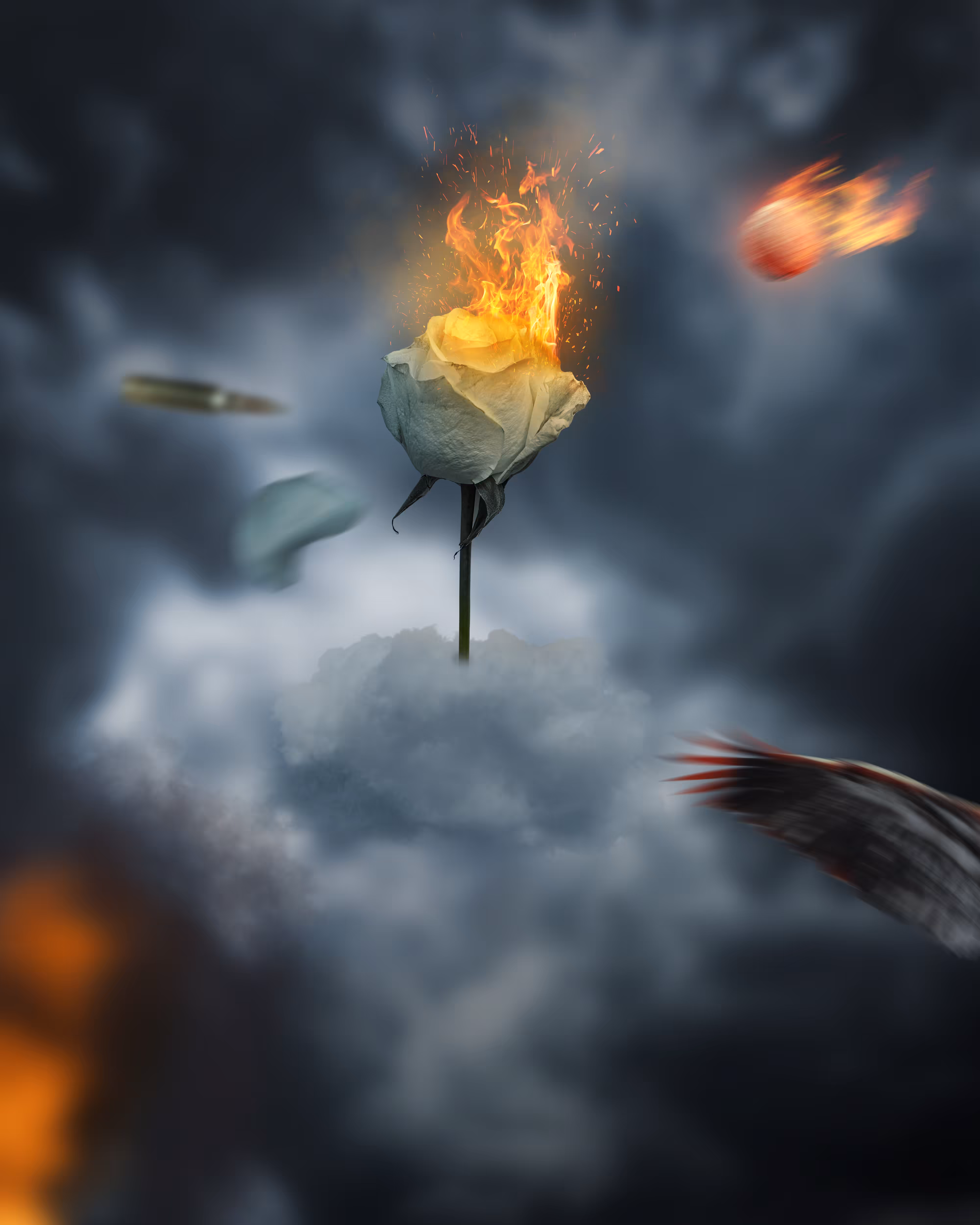 Destroyed Peace!