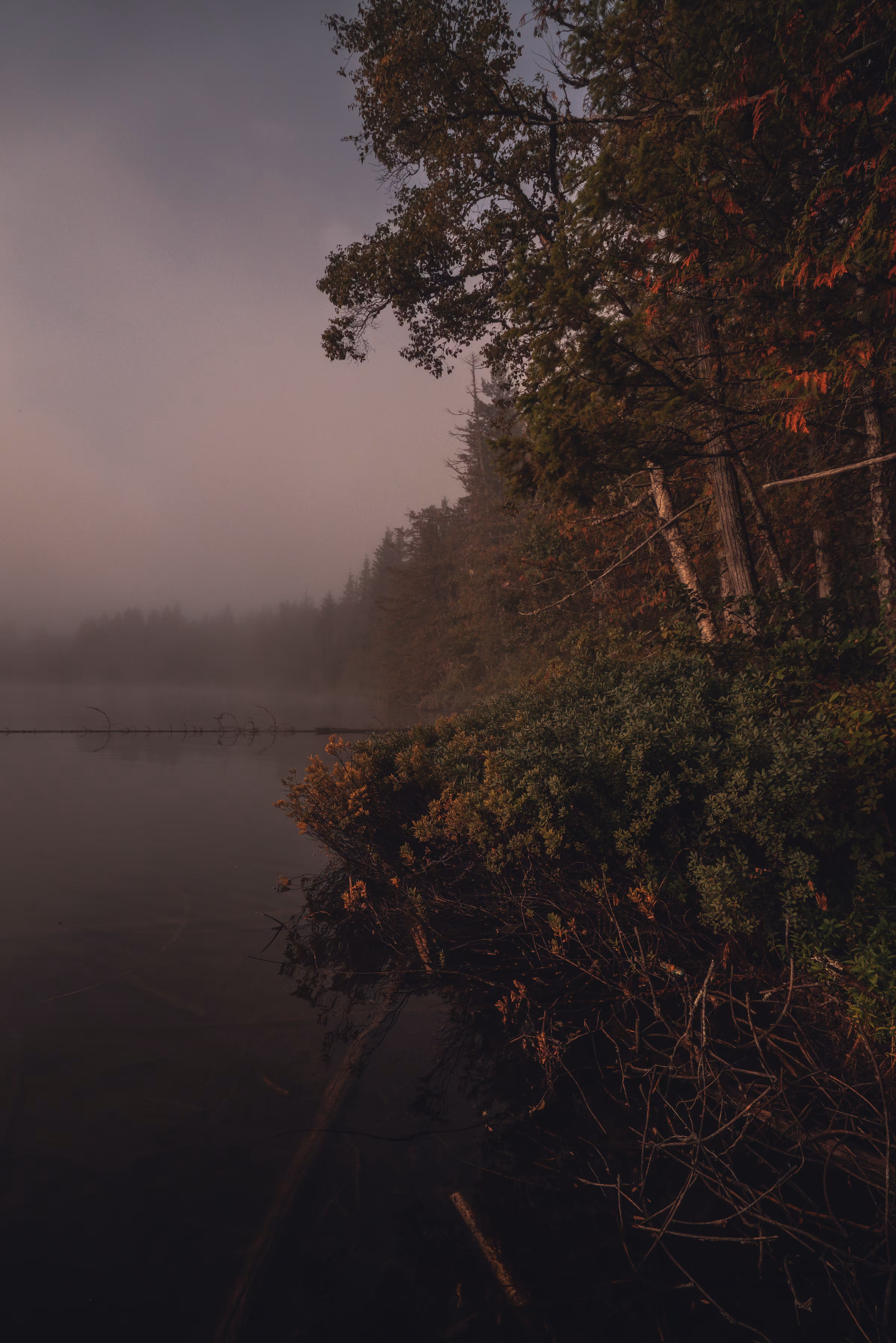 FIRST MIST//