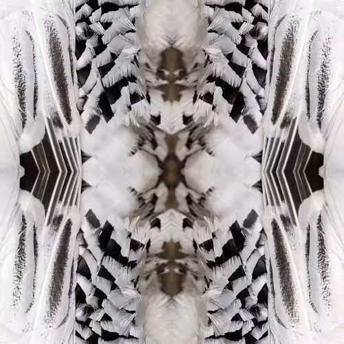 Renewal