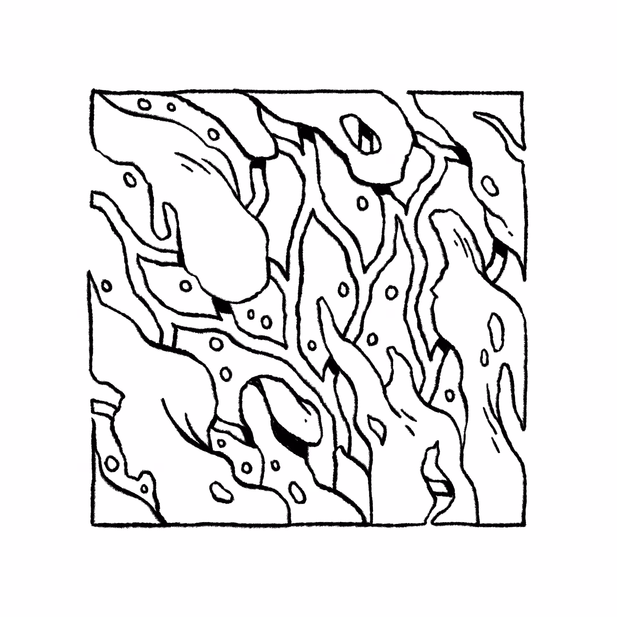 •••053•••
