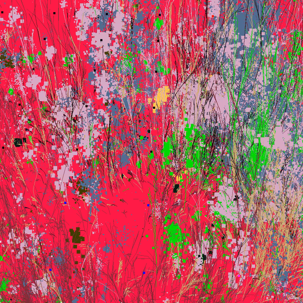Infinite Garden: 48962 Flowers