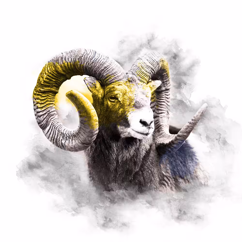 The Animal Kingdom Collection: YELLOW SERIES - RAM