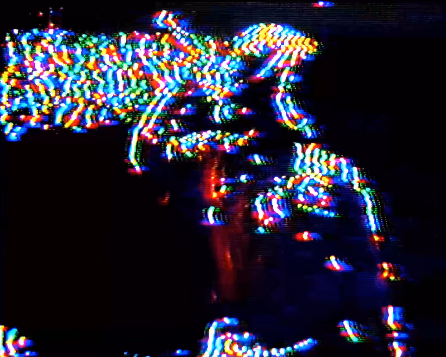Cyber Ninja