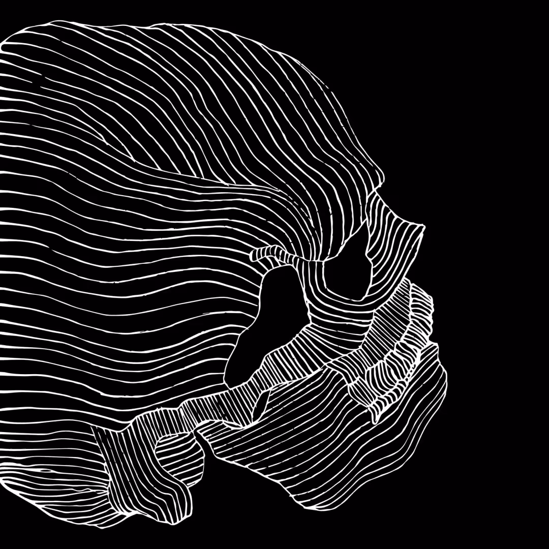 PSYCHEDELIC SKULLS